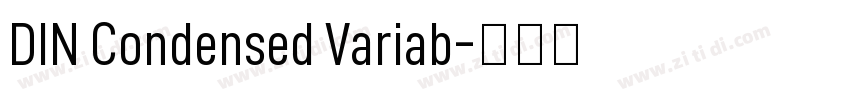 DIN Condensed Variab字体转换